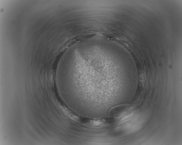 X0000062130662200512161153