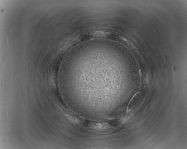 X0000062130663200512161153