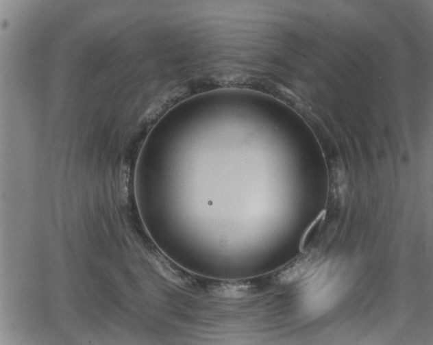 X0000062130664200512161153