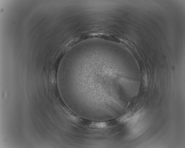 X0000062130665200512161153