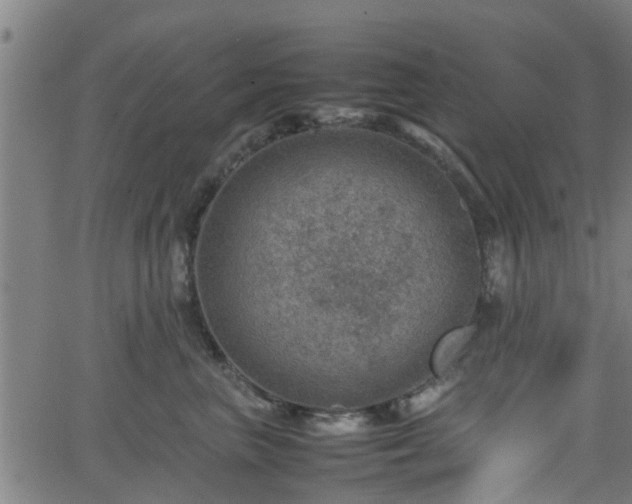 X0000062130667200512161153