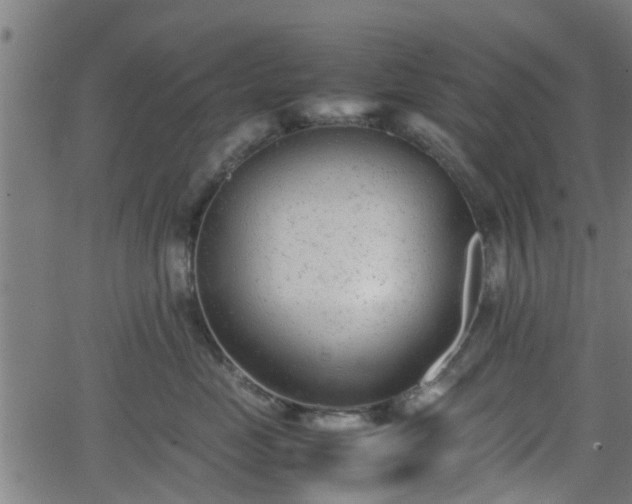 X0000062130669200512161153