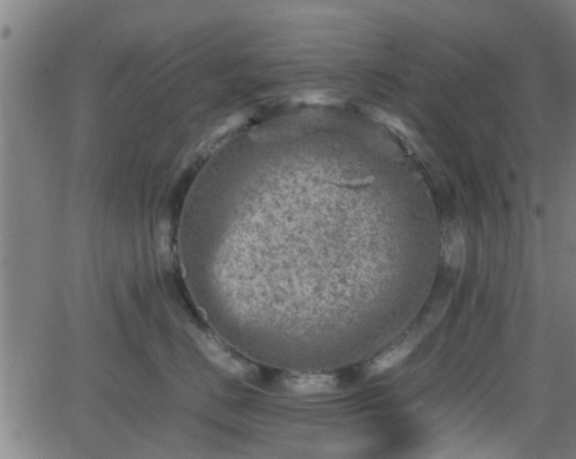 X0000062130670200512161153