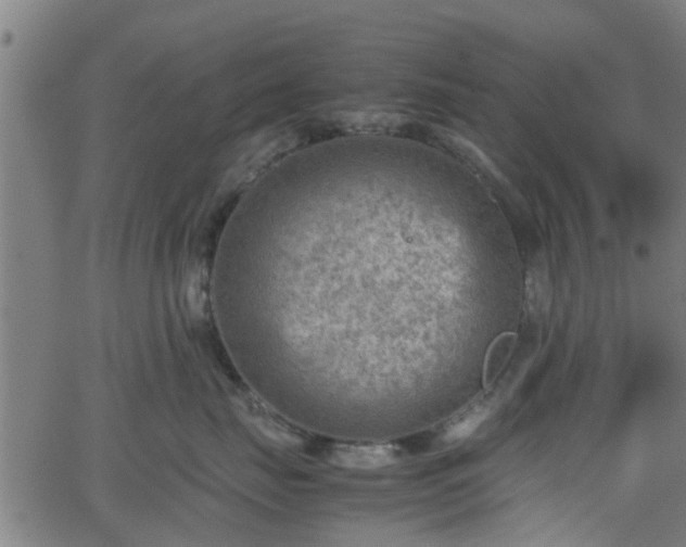 X0000062130671200512161153