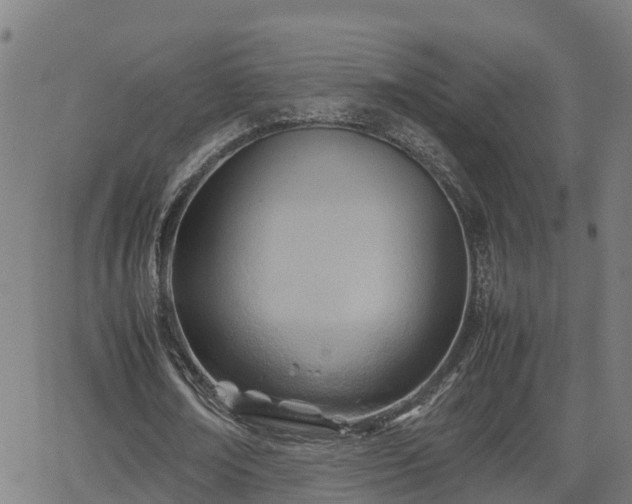 X0000062130674200512161152