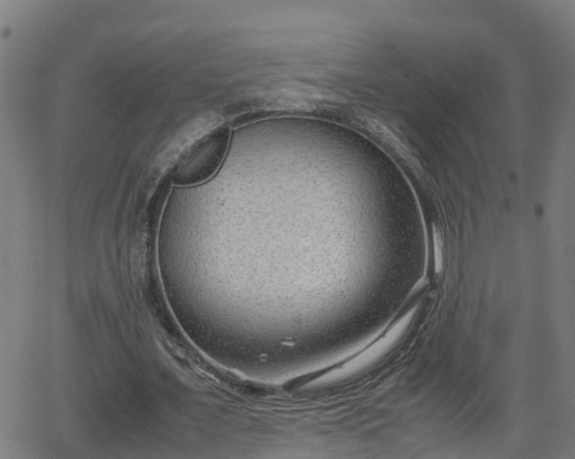 X0000062130675200512161152