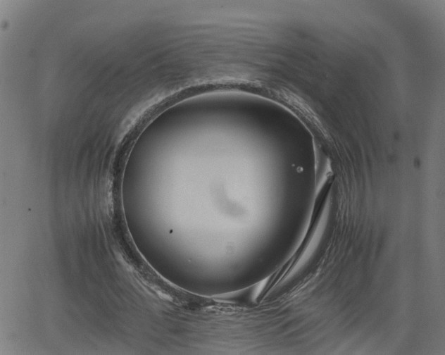 X0000062130676200512161152