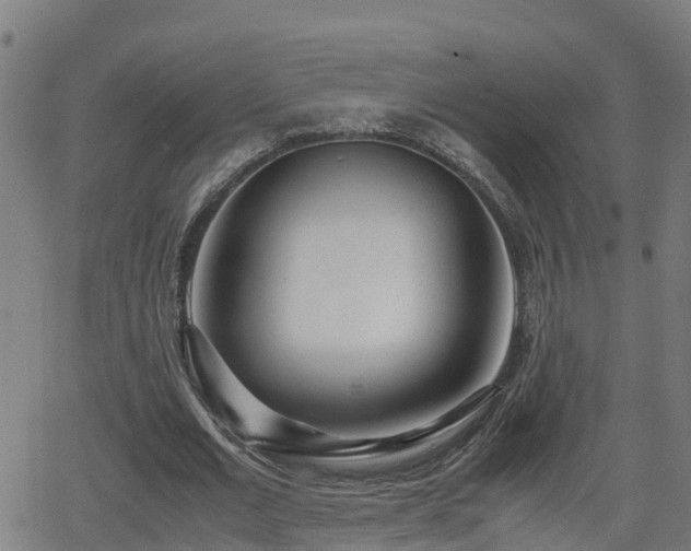 X0000062130677200512161152