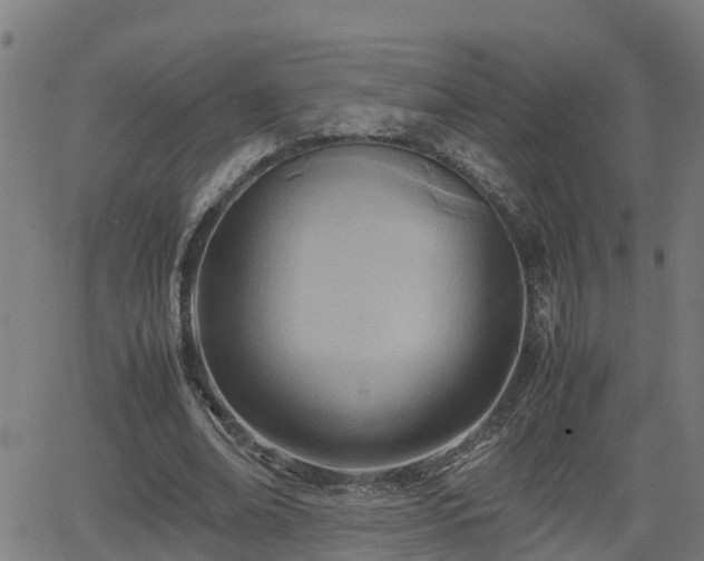 X0000062130678200512161152