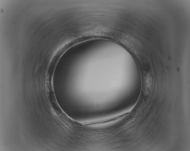 X0000062130680200512161152