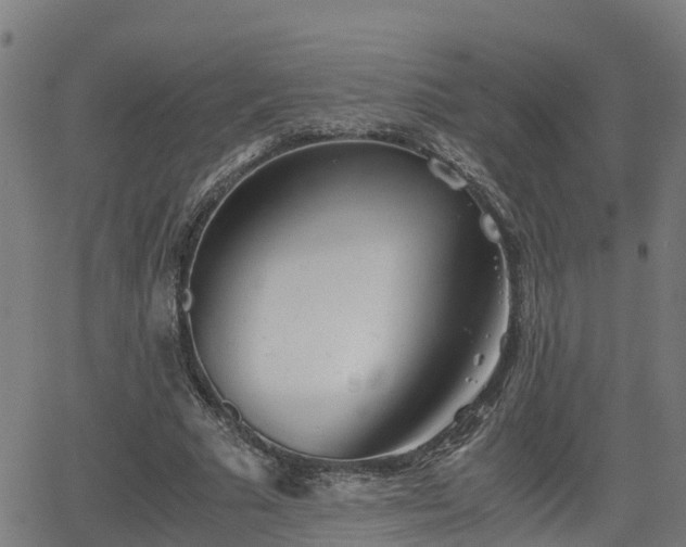 X0000062130681200512161152