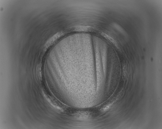 X0000062130682200512161152