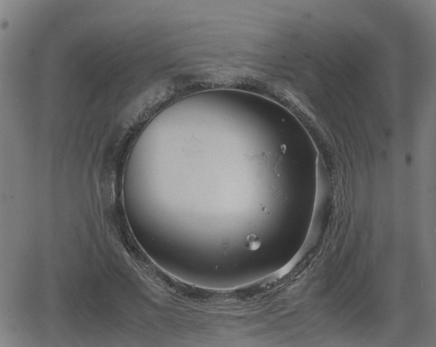 X0000062130685200512161152