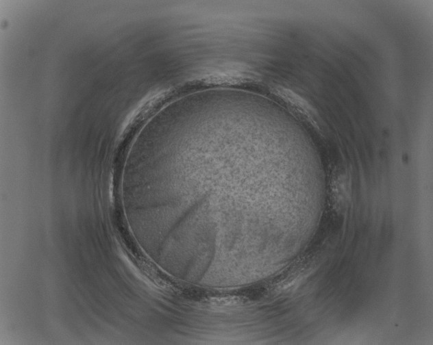 X0000062130686200512161152