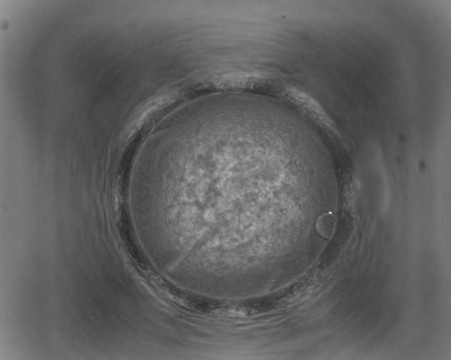 X0000062130687200512161152