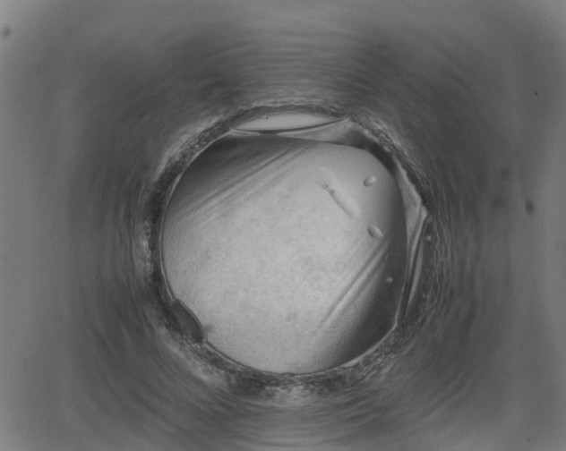 X0000062130688200512161152