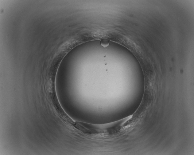 X0000062130689200512161152