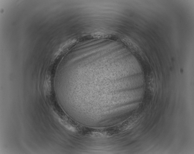 X0000062130690200512161152