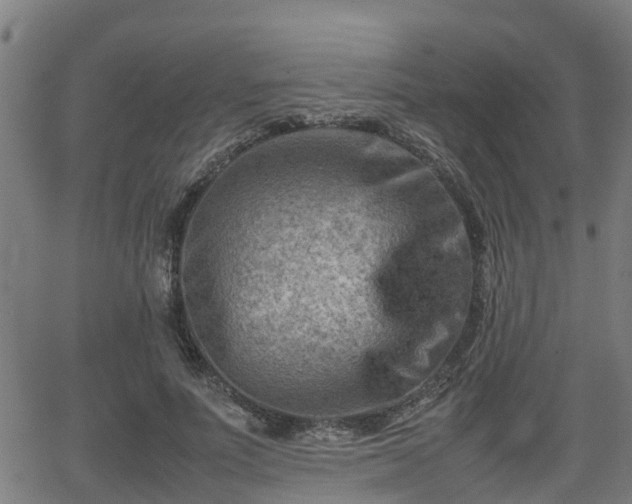 X0000062130691200512161152