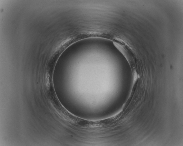 X0000062130692200512161152