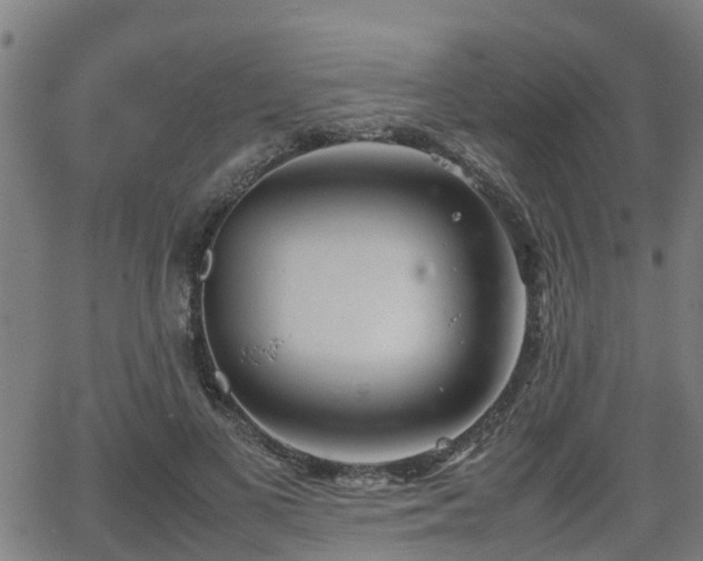 X0000062130693200512161152