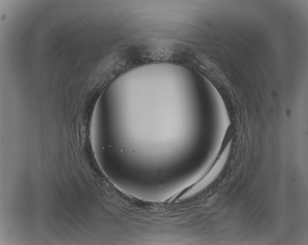 X0000062130697200512161152