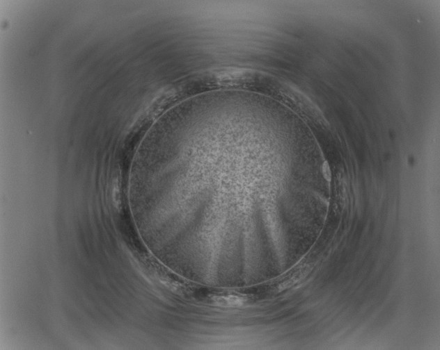 X0000062130698200512161152