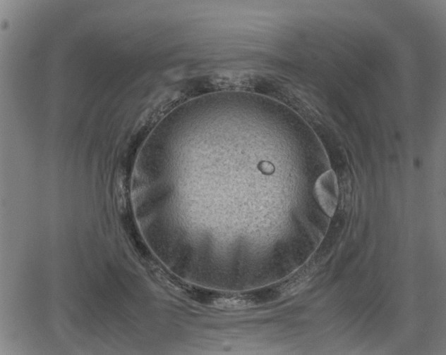 X0000062130699200512161152