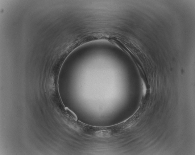 X0000062130700200512161152