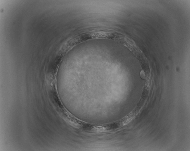 X0000062130701200512161152