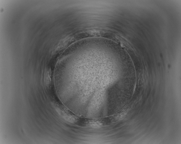 X0000062130702200512161152