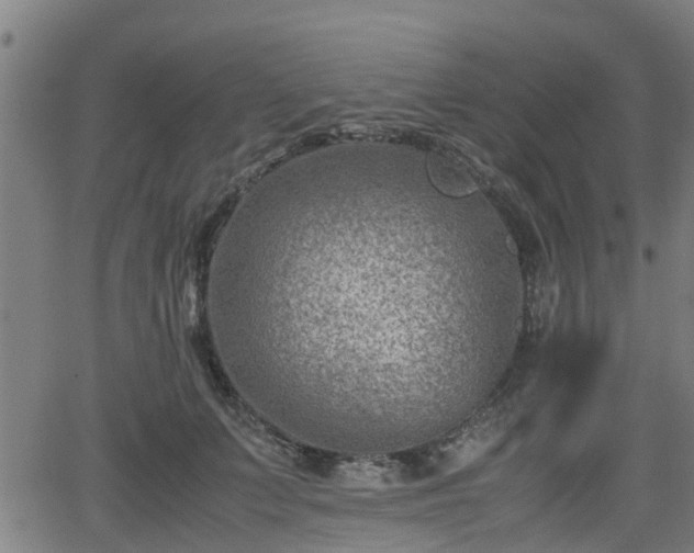 X0000062130703200512161152