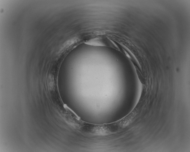 X0000062130704200512161152