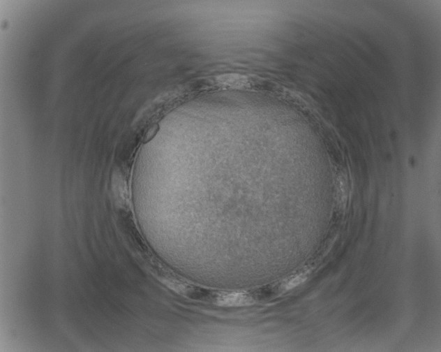 X0000062130705200512161152