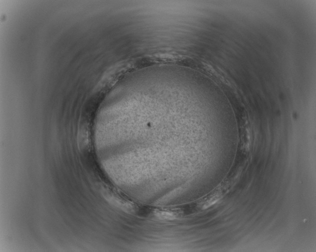 X0000062130706200512161152