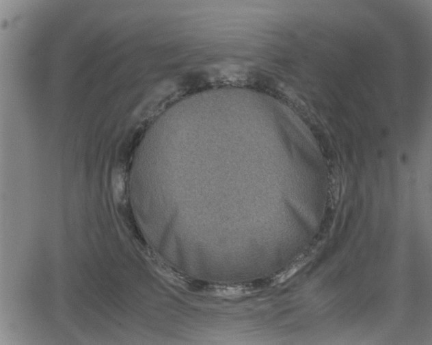 X0000062130709200512161152