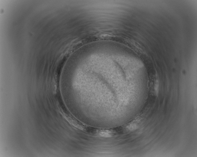 X0000062130710200512161152