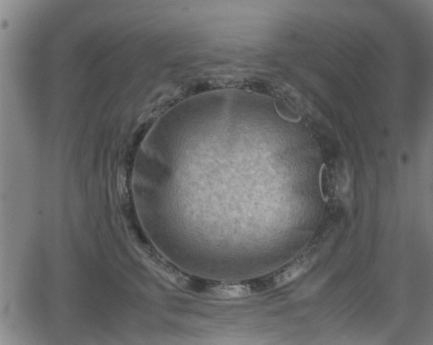 X0000062130711200512161152