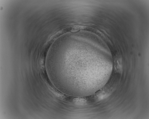 X0000062130714200512161152