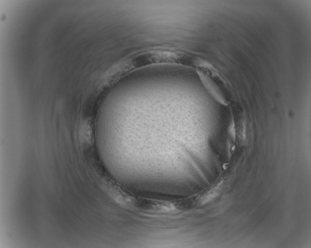 X0000062130715200512161152