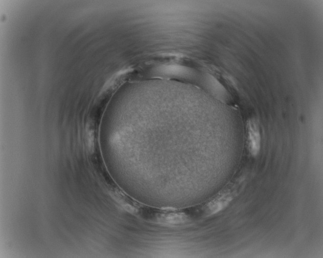 X0000062130716200512161152