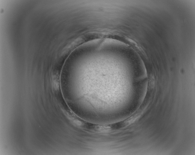 X0000062130719200512161152