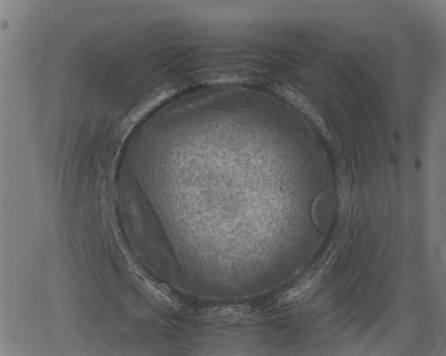 X0000062130721200512161151