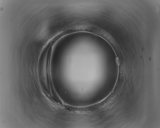 X0000062130722200512161151