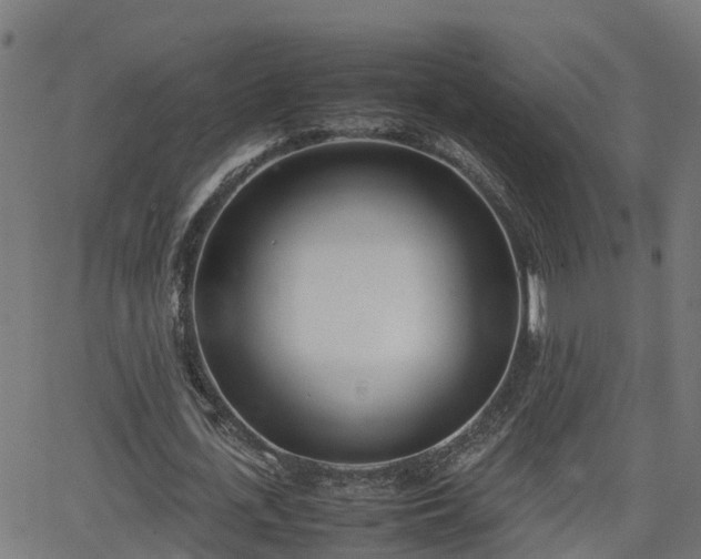 X0000062130723200512161151