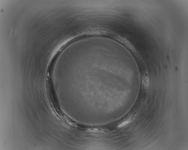 X0000062130724200512161151