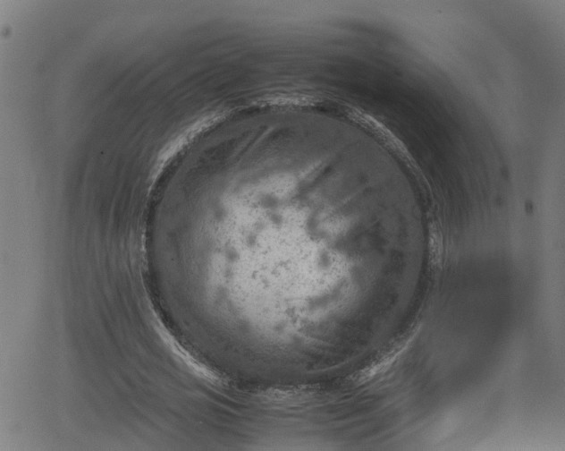 X0000062130725200512161151