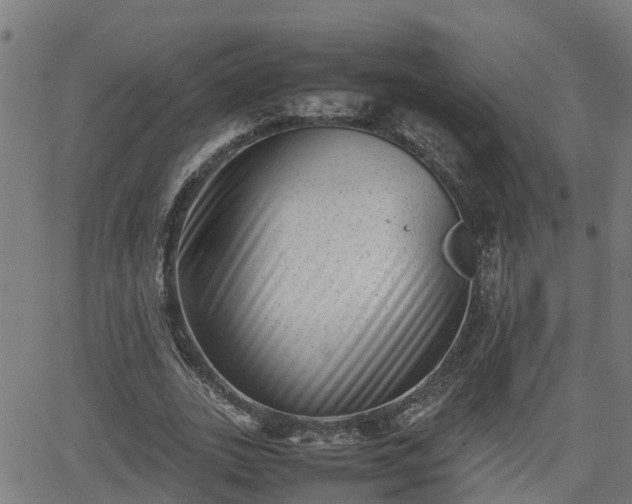 X0000062130727200512161151