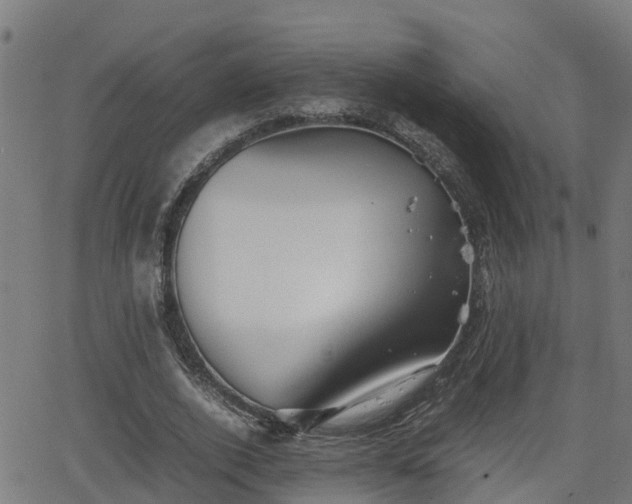 X0000062130728200512161151