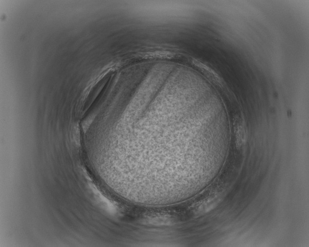 X0000062130729200512161151